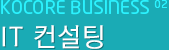 Kocore BUSINESS 02 IT 컨설팅